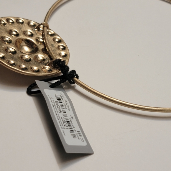 Robert Lee Morris Soho Women's Shield Pendant Round Wire Collar Necklace, Gold, - Picture 11 of 13